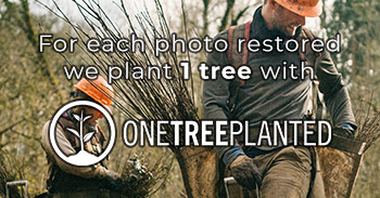 Onetree Vertical Banner 2 Mobile
