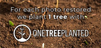 Onetree Vertical Banner 1 Mobile