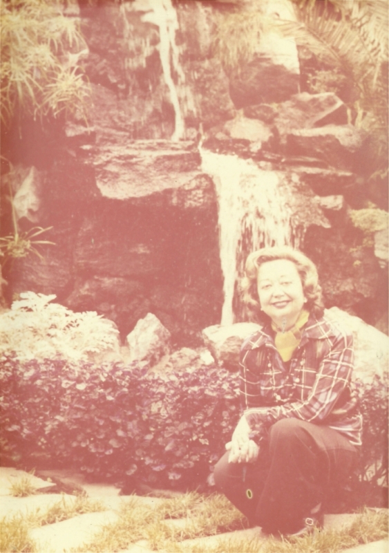 Umbraco.Web.PublishedModels.Image.Alt