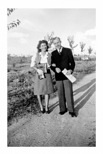 Umbraco.Web.PublishedModels.Image.Alt