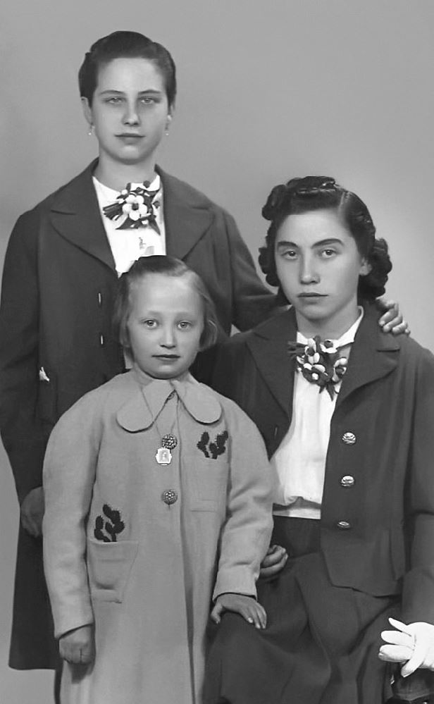 Umbraco.Web.PublishedModels.Image.Alt