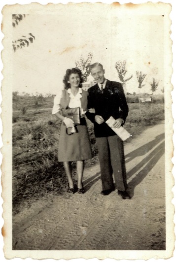 Umbraco.Web.PublishedModels.Image.Alt