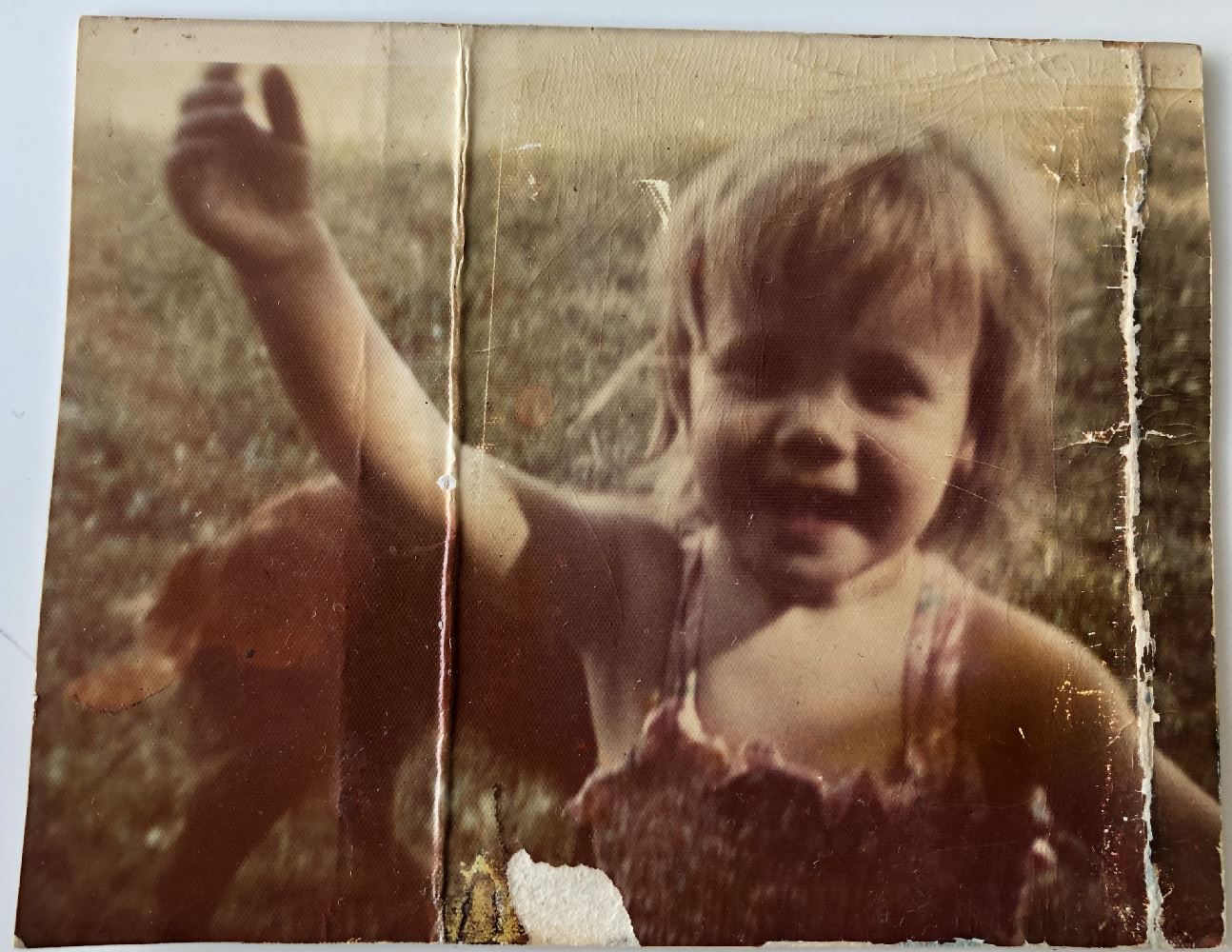 Umbraco.Web.PublishedModels.Image.Alt