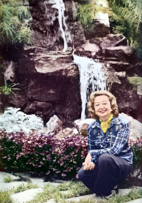 Umbraco.Web.PublishedModels.Image.Alt