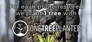 Onetree Vertical Banner 3 Mobile