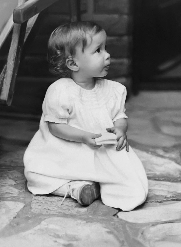 Umbraco.Web.PublishedModels.Image.Alt