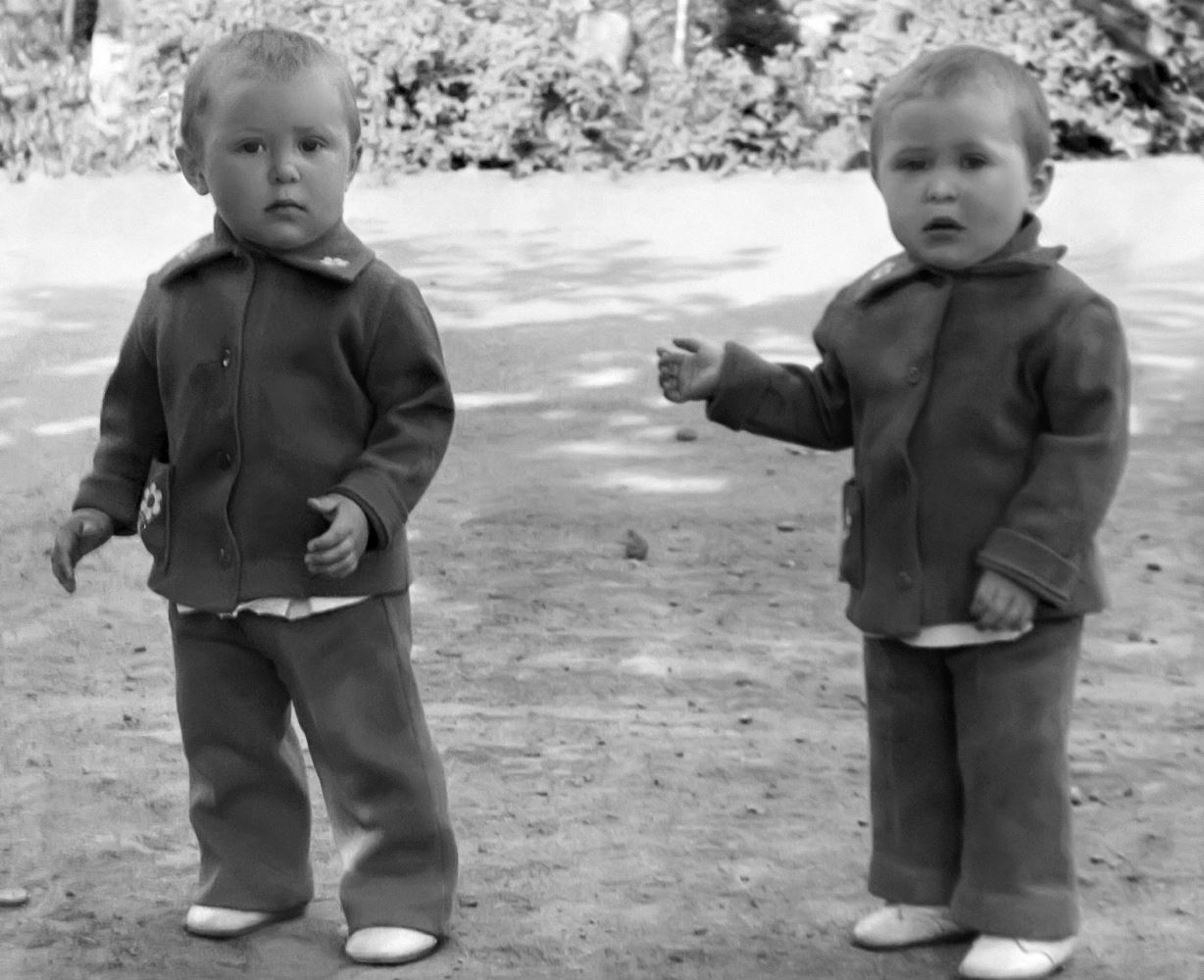 Umbraco.Web.PublishedModels.Image.Alt