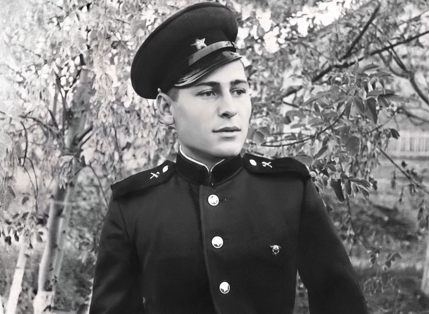 Umbraco.Web.PublishedModels.Image.Alt