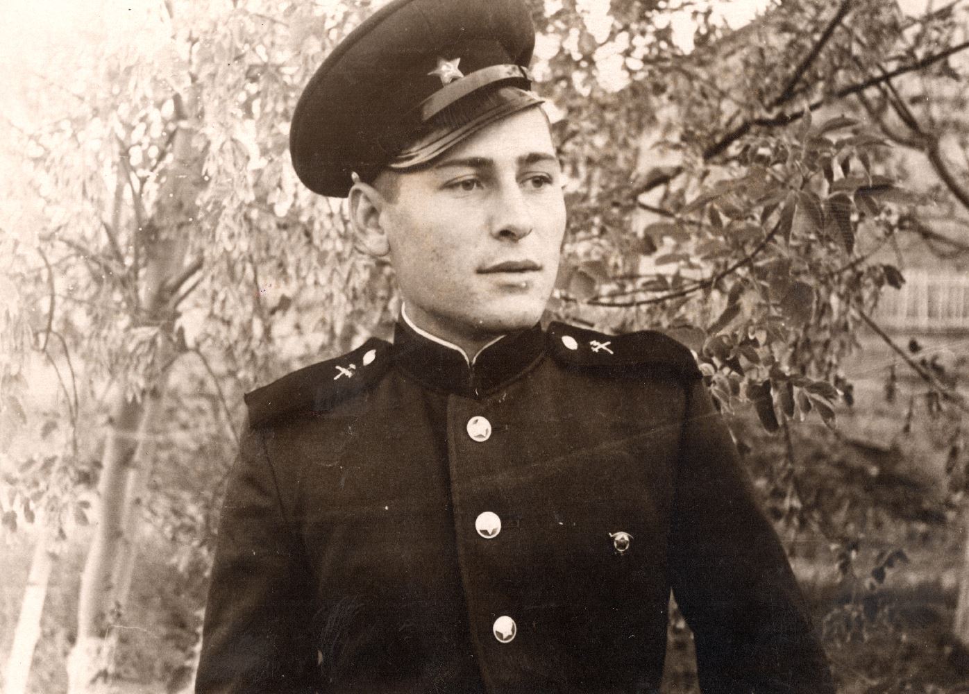 Umbraco.Web.PublishedModels.Image.Alt